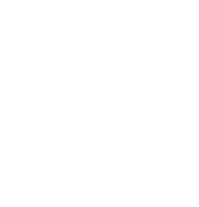 IBRAD LOGO